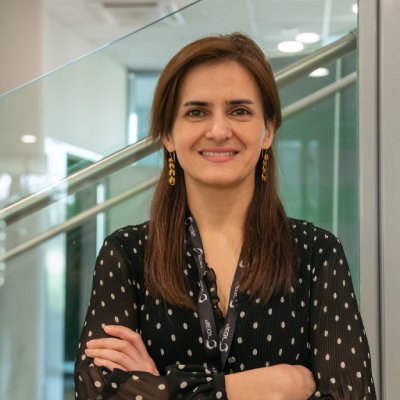 Ziba-Najmi